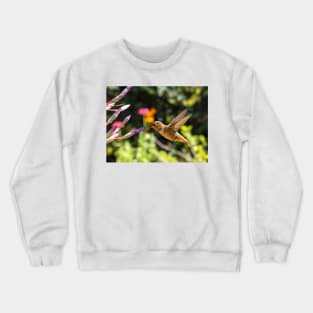 Rufous or Allen's Crewneck Sweatshirt